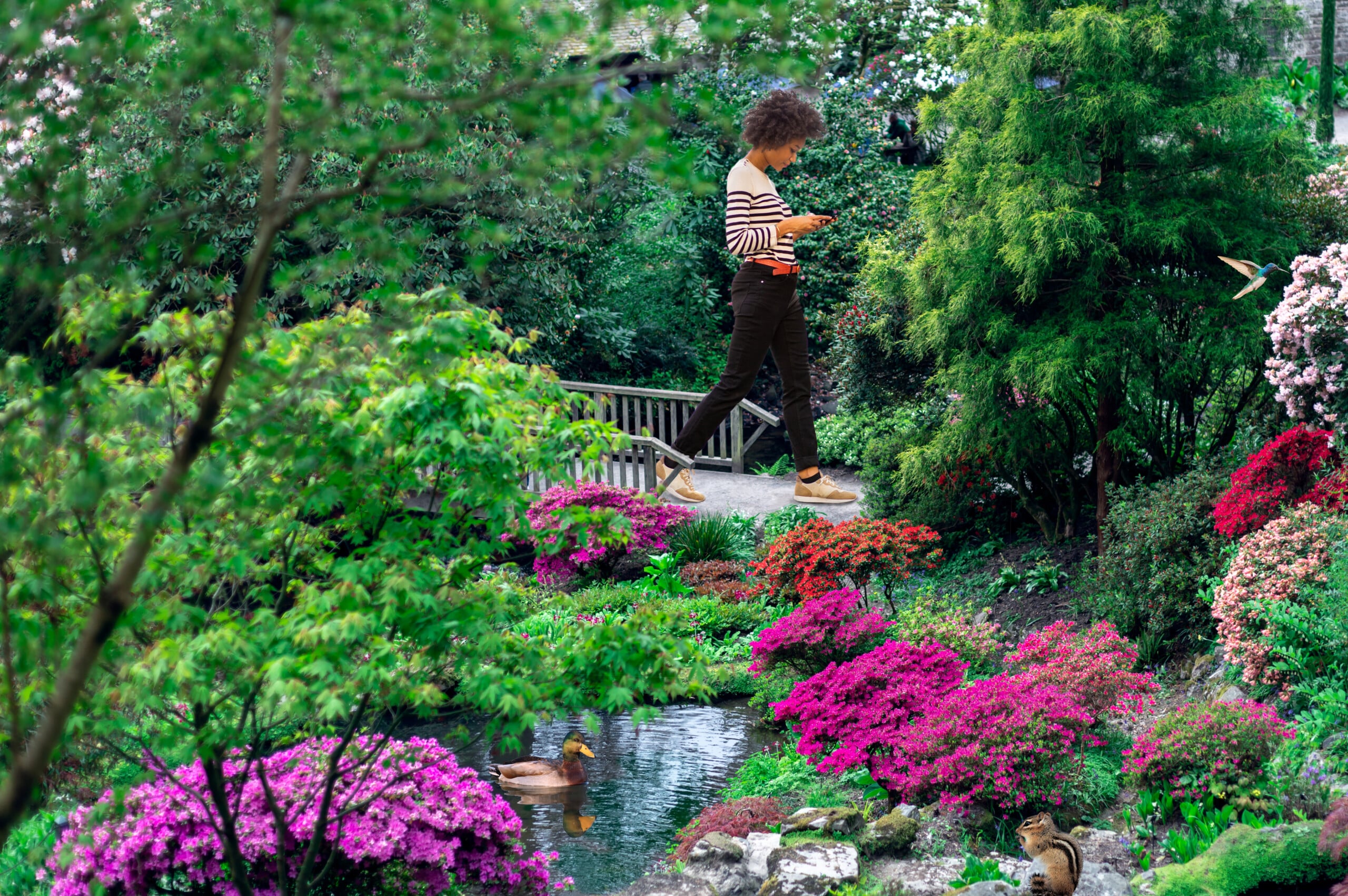 Garden with blooming trees during spring time